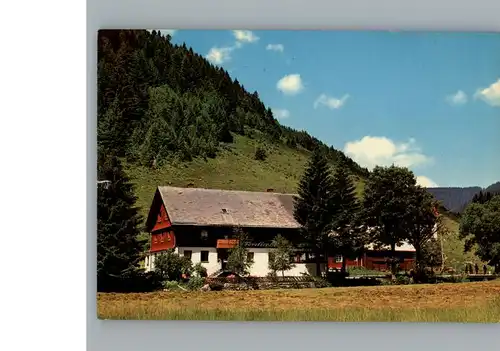 Menzenschwand Gasthaus, Pension Forellenhof / St. Blasien /Waldshut LKR