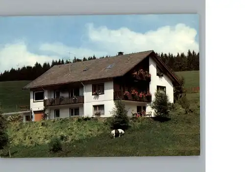 Guetenbach Pension  Haus Dorer / Guetenbach /Schwarzwald-Baar-Kreis LKR