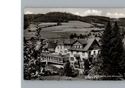 Oberprechtal Gasthaus, Pension Adler / Elzach /Emmendingen LKR