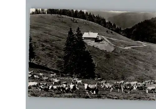 Menzenschwand  / St. Blasien /Waldshut LKR