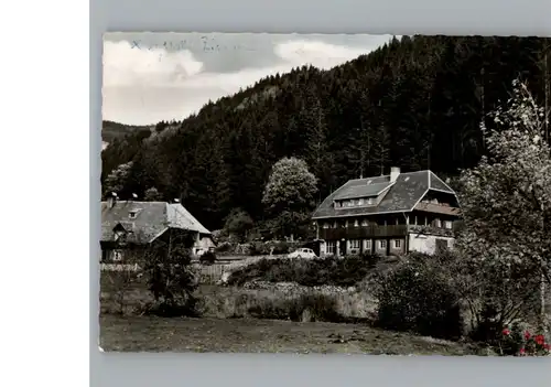 Menzenschwand Pension Haus Richard Schaeuble / St. Blasien /Waldshut LKR