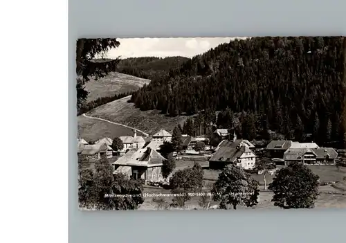 Menzenschwand  / St. Blasien /Waldshut LKR