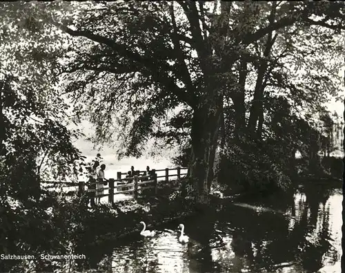 Bad Salzhausen Schwanenteich Kat. Nidda