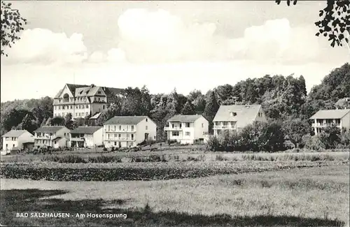 Bad Salzhausen Am Hasensprung Kat. Nidda