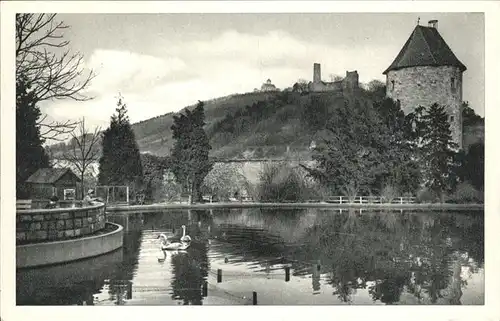 Weinheim Bergstrasse Schlosspark Schwaene Kat. Weinheim