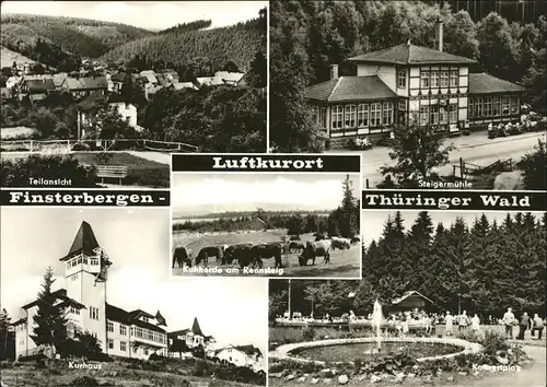 Finsterbergen Steigermuehle Kurhaus Kuhherde am Rennsteig Kat. Finsterbergen
