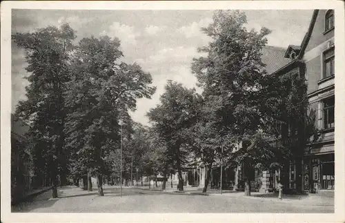 Ilmenau Lindenstrasse Kat. Ilmenau