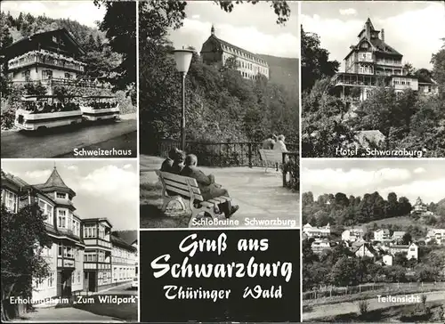 Schwarzburg Schlossruine Hotel Schwarzburg Schweizerhaus Zum Wildpark  Kat. Schwarzburg