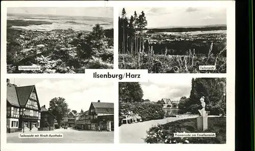 Ilsenburg Teilansicht Gesamtansicht Promenade am Forellenteich Hirsch Apotheke Kat. Ilsenburg Harz
