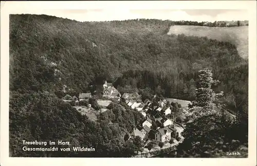 Treseburg Wildstein Kat. Treseburg