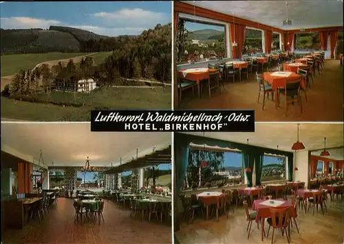 Waldmichelbach Hotel Birkenhof Kat. Wald-Michelbach