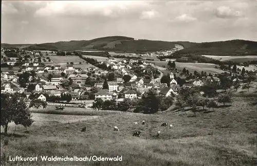 Waldmichelbach  Kat. Wald-Michelbach