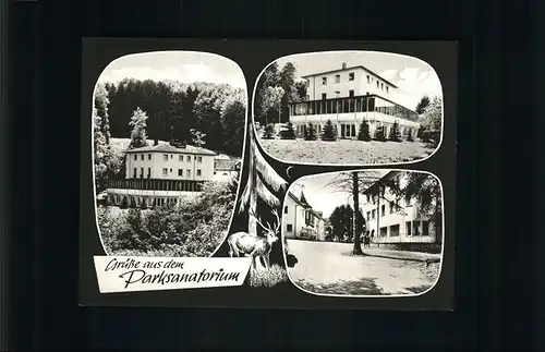 Braunfels Parksanatorium Kat. Braunfels