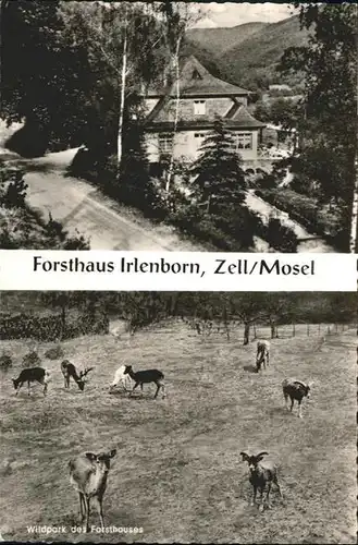 Zell Mosel Forsthaus Irlenborn Wildpark x