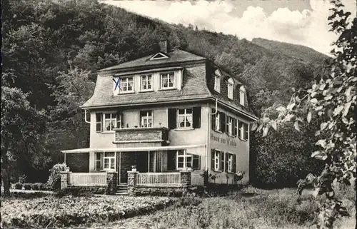 Brodenbach Mosel Pension Haus am Walde x