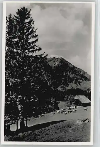 Bergen Chiemgau Bergen Oberbayern Hocherbalm ungelaufen ca. 1955 / Bergen /Traunstein LKR