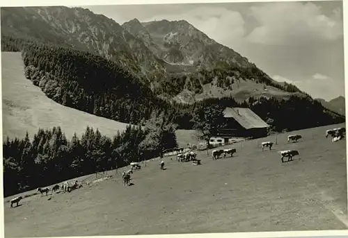 Bergen Chiemgau Bergen Oberbayern Hochfelln   / Bergen /Traunstein LKR