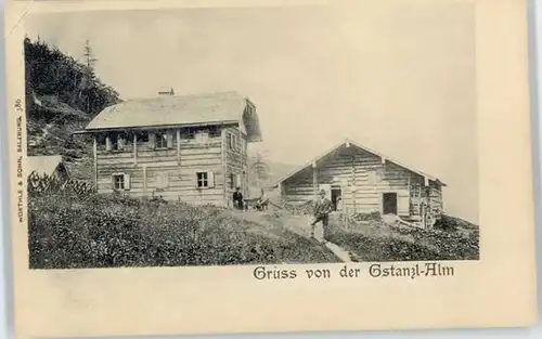 Freilassing Freilassing Gstanzl Alm ungelaufen ca. 1900 / Freilassing /Berchtesgadener Land LKR