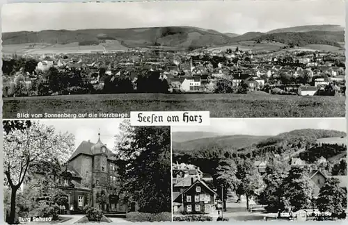 Seesen Harz Seesen burg Sehusa Lautentaler Strasse x / Seesen /Goslar LKR