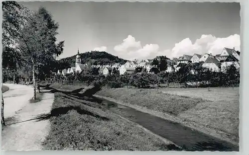 Pegnitz Schlossberg * 1955