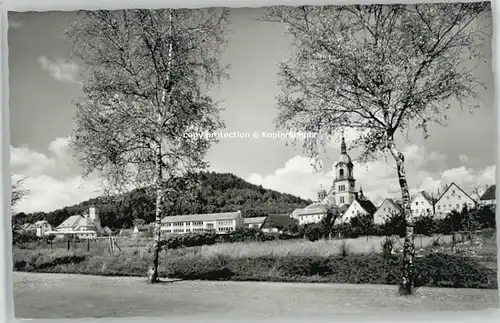 Pegnitz Schlossberg * 1955