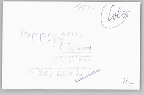 Pappenheim  *