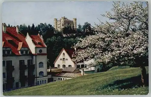 Hohenschwangau Hotel Alpenrose Schloss  *