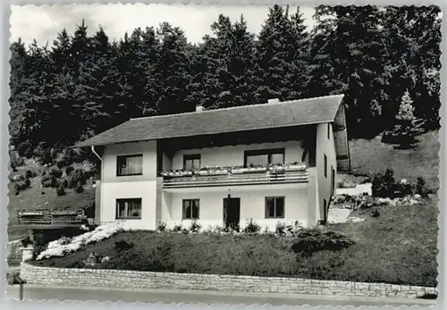 Treuchtlingen Treuchtlingen Schambach Haus Liepold ungelaufen ca. 1965 / Treuchtlingen /Weissenburg-Gunzenhausen LKR