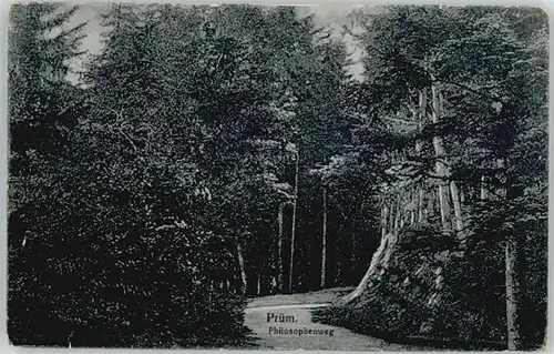 Pruem Eifel Philosophenweg * / Pruem /Eifelkreis Bitburg-Pruem LKR