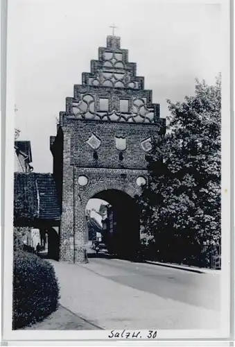 Salzwedel Steintor *