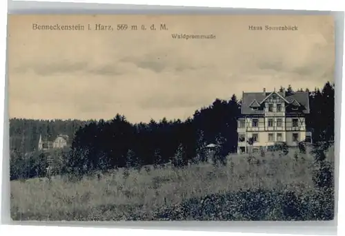 Benneckenstein Haus Sonnenblick x