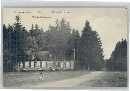 Benneckenstein Waldschloesschen *