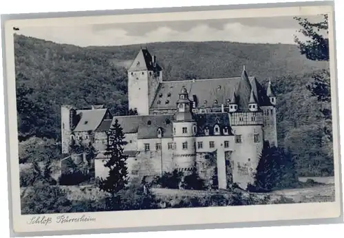 Mayen Schloss Buerresheim x