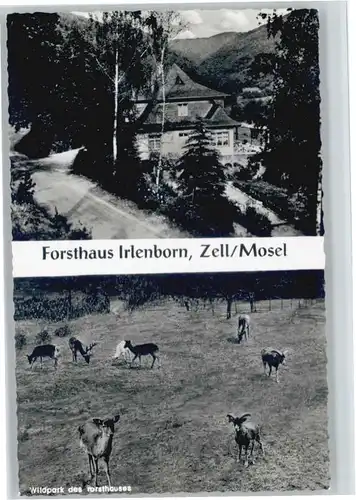 Zell Mosel Forsthaus Irlenborn Wildpark *