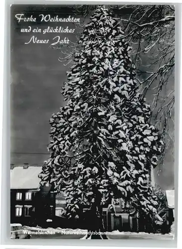 Wermelskirchen Weihnachtsbaum *