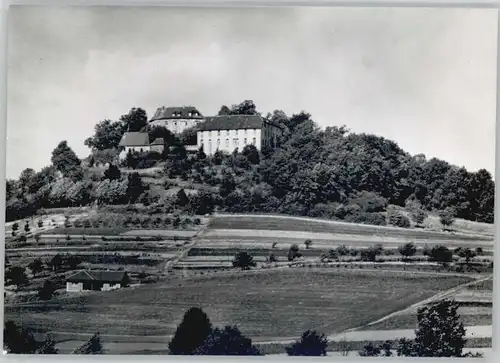 Reichelsheim Odenwald Burg Reichenberg *