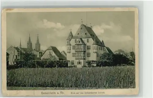 Geisenheim Schoenborner Schloss  *