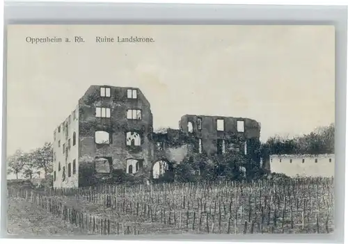 Oppenheim Ruine Landskrone *