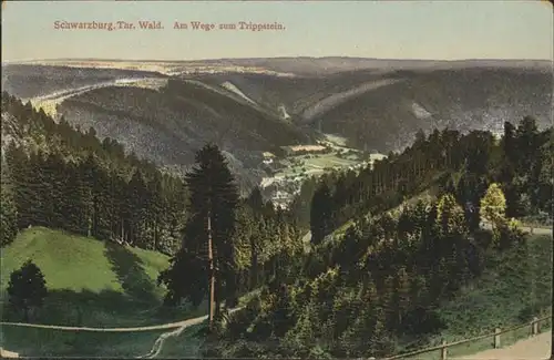 Schwarzburg Thueringer Wald Trippstein / Schwarzburg /Saalfeld-Rudolstadt LKR