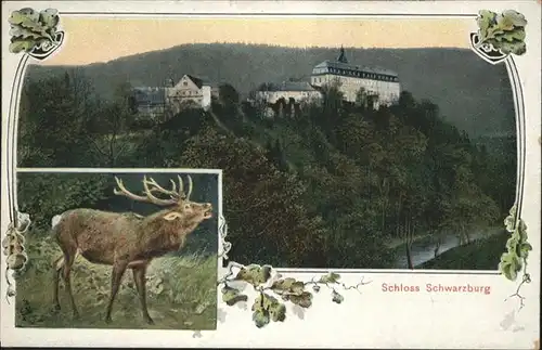 Schwarzburg Thueringer Wald Schloss Shwarzburg / Schwarzburg /Saalfeld-Rudolstadt LKR