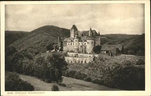 Mayen eifel
Schloss Buerresheim / Mayen /Mayen-Koblenz LKR