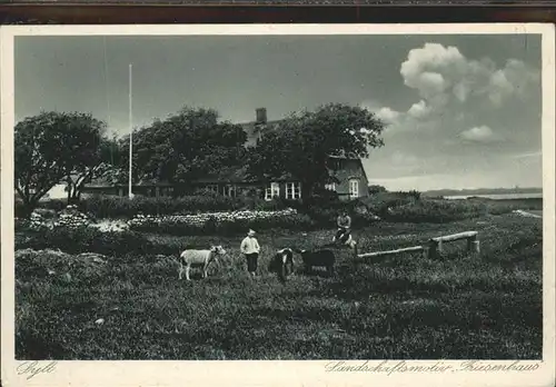 Insel Sylt Friesenhaeuser Ziege / Westerland /Nordfriesland LKR