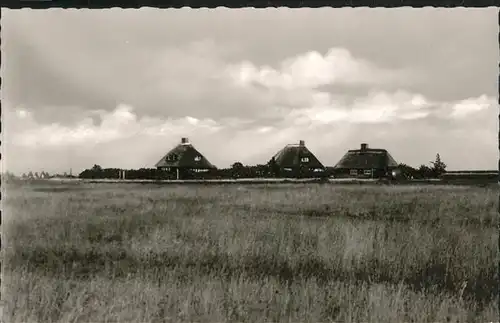 Kampen Sylt Inselhaeuser / Kampen (Sylt) /Nordfriesland LKR