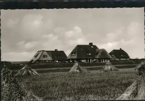 Kampen Sylt  / Kampen (Sylt) /Nordfriesland LKR