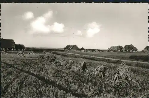 Kampen Sylt  / Kampen (Sylt) /Nordfriesland LKR