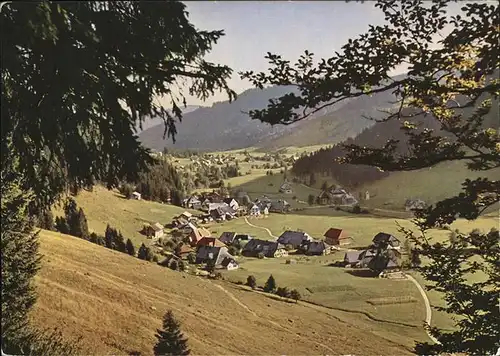 Menzenschwand Feldberg / St. Blasien /Waldshut LKR