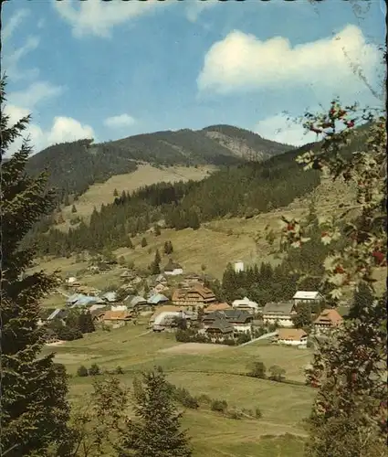 Menzenschwand Hochschwarzwald / St. Blasien /Waldshut LKR