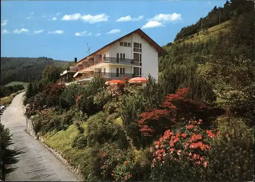 Oberprechtal Berg-Hotel Pfauen / Elzach /Emmendingen LKR