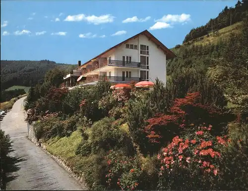 Oberprechtal Berg-Hotel Pfauen / Elzach /Emmendingen LKR