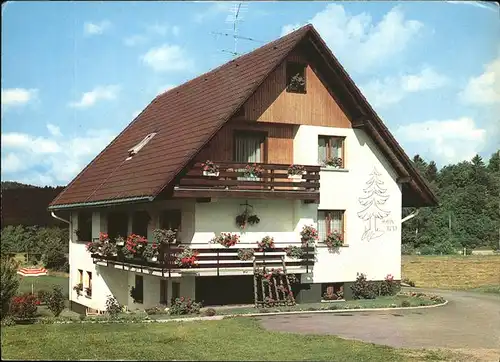 Haeusern Schwarzwald Haus Resi / Haeusern /Waldshut LKR